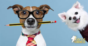 One dog trying to work, another dog is interrupting
