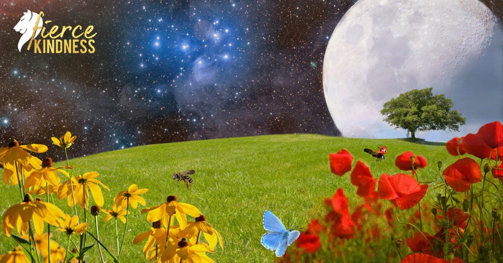 Beautiful Meadow Moon & Sky