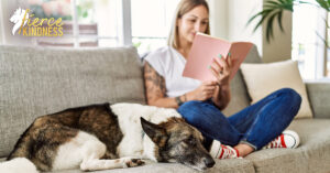 Woman in solitude with her dog on sofa