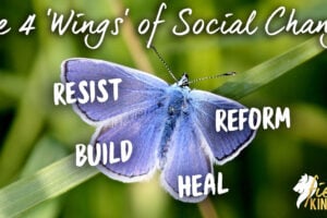 Blue Bitterfly with 4 Wings of Social Justice