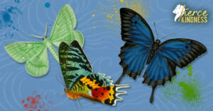 Gorgeous Butterflies on Blue Background